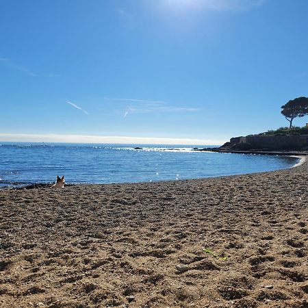 Appartement La Tranquillite, 2Mn A Pieds Mer Fréjus Εξωτερικό φωτογραφία